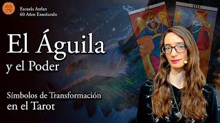 El Águila y el Poder - Símbolos de Transformación en el Tarot