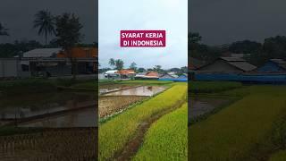 Syarat kerja di indonesia #shorts #shortslucu #videolucu #petani #desa