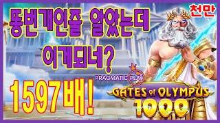 [슬롯][추천슬롯] 프라그마틱 - 게이트 오브 올림푸스1000‍끗발보소? 1억 터졌다! [인기슬롯][슬롯영상][대박이]