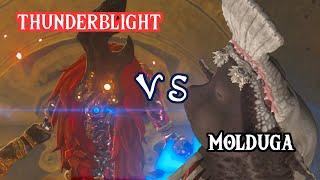 Defeating Thunderblight Ganon with only... Molduga? - What If?! -Breath of the Wild