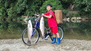 Bac's fishing skills, using bamboo poles for fishing, harvest 12.5kg of giant fish.