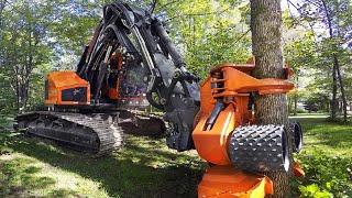 Dangerous Fast Chainsaw Cutting Tree Machines, Excavator Felling Destroy Tree & Wood Sawmill Machine