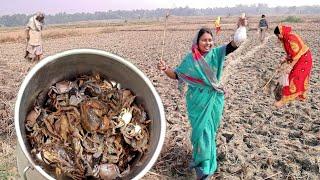 মাঠের গর্ত থেকে লাঠি দিয়ে কাঁকড়া ধরে কাঁকড়ার ঝাল আর বাঁধাকপির বড়া বানালাম||crab hunting in field