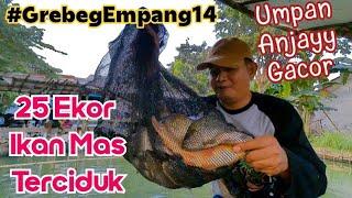 25 Ekor Ikan Mas Terciduk , Gacor Abiss Umpan Anjayy Bikin Ulah di Empang GMM Setu , #grebegempang14