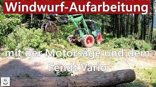 Windwurf-Aufarbeitung mit der Motorsäge und unserem Fendt 312 Vario