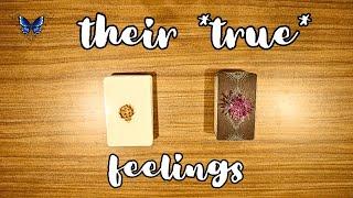 THEIR *TRUE*  FEELINGS FOR YOU  Timeless Tarot Reading 