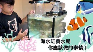 如何設置並維護一個海水缸//【開缸養水後期】