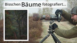 Naturfotografie: Eine knorrige EICHE fotografiert und an sich war es doch gar nicht so dunkel...