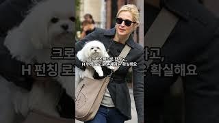 에르메스 입문백 4가지(feat. 할미템 가방)