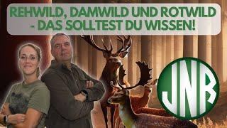 Rehwild, Damwild, Rotwild. Diese Unterschiede solltest du bei der Jagd wissen.