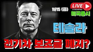 11/15 금 ( 실시간 라이브 ) 테슬라 전기차 보조금 폐지? I 미국주식 대응 및 전략