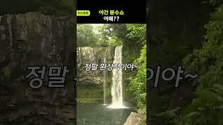 [정보줍줍] 야간 분수쇼 어때?