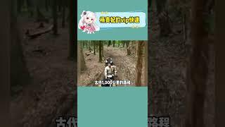 长安的荔枝到底是从哪来的？#荔枝 #“长安的荔枝”到底从哪里来的 #夏天的味道在抖音 #历史