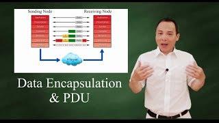 data encapsulation & de-encapsulation - PDU