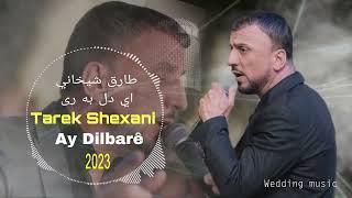 Tarek Shexani  - Ay Dilbare 2023 - طارق شيخاني - by Wedding music 2023