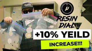 (+10% Yield Increase) Triploid vs Diploid Wash Test with the RESIN DIAL | Humboldt Seed Company