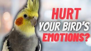 5 Everyday Things That Hurt Your Bird's Emotions