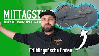  Frühlingsfische finden  | Bloodworms & Zuckmückenlarven 🪱 | Karpfenangeln | Mittagstisch #177