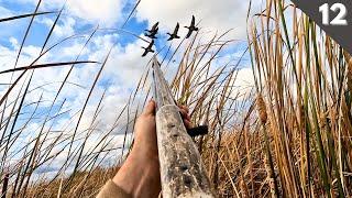 Hunting Stale Ducks On Public Land (Leroy's Best Hunt Yet?)