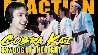 Who are these cool Iron Dragons?? COBRA KAI 6X7 Dog in the Fight REACTION!