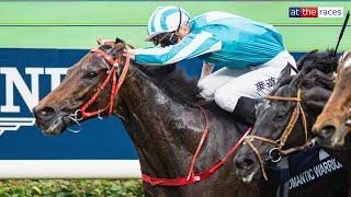 He's so good! | ROMANTIC WARRIOR strikes again at Sha Tin