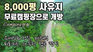 8,000평 사유지 무료개방/수세식화장실/새소리와 숲 속 노지에서 우중캠핑/무료 노지 차박 캠핑/카라반 캠핑카 차박 텐트 가능/애견동반캠핑/Camping