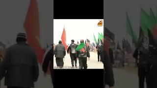 CHALE AAO AE IBNE MUSHKIL KUSHA | MESUM ABBAS MANQABAT IMAM E ZAMANA   SHIYAN E HUSSAIN