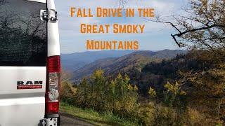 Great Smoky Mountain Scenic Drive | Mama Bear And Cubs | Autumn Colors In Great Smoky Mountains