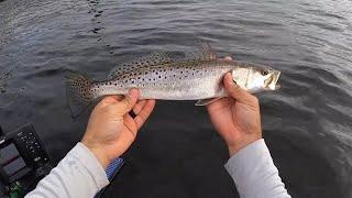 Inshore Kayak Fishing | Rocky Bayou Choctawhatchee Bay Florida