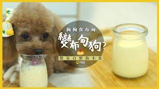 【毛城城廚房】狗狗食布甸變布甸狗？︱簡易自製狗小食｜MocityHK