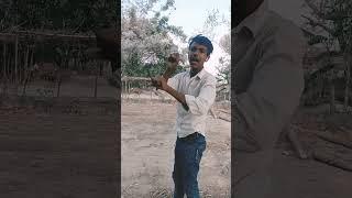 Chhotu sikari ka short video mankhushyadav00m