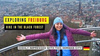 Easy hike in the Black Forest Germany- Travel guide 2023 | Exploring FREIBURG im Breisgau