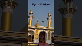 Ziyarat e Ashura Karbala Talkatora Lucknow Azadari Lucknow Muharram WhatsApp status Ziyarat e Ashura