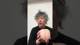 人間の脳を育てるのは「感動」である
