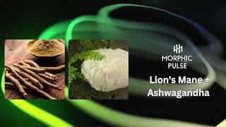 Lion’s Mane + Ashwagandha – The Ultimate Cognitive & Nervous System Restoration Morphic Field