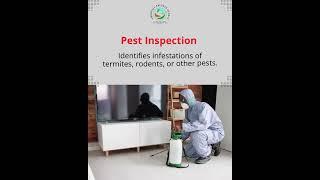 Must-Know Property Inspections Before You Buy Real Estate!