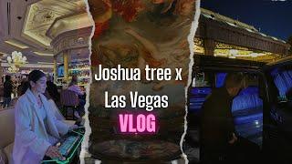 Joshua tree️ to Las Vegas ️- ولاگ سفر به جاشوا تری و لاس وگاس