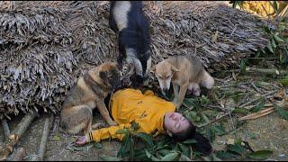 17-year-old girl in the open countryside, building a farm economic development - ha thi muon