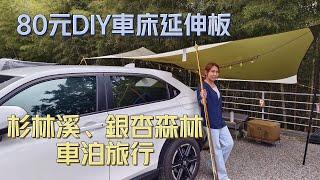 杉林溪｜大崙山觀光茶園｜銀杏森林｜車泊｜露營｜80元DIY車床延伸板｜大崙山雲海｜和雅六分營地｜TinaLetsGo