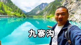 九寨归来不看水！九寨沟一步一风景，果然名不虚传太美啦！【大海去旅行】