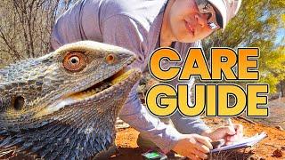 Ultimate Bearded Dragon Care Guide!