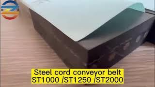 Steel cord conveyor belt