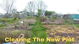 Clearing the New Allotment Plot