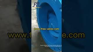 Double Eccentric Butterfly Valve With expansion joints