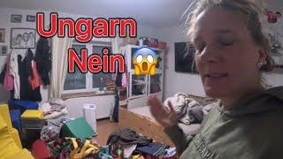 Das wollte ich vermeiden  | Auswanderer in Ungarn | Daily Vlog