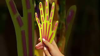 Crafts for kids l DIY paper toys ideas | paper craft #papercraft #youtubeshorts #papertoy
