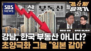 한국 부동산, 결국 일본 따라가나 "강남불패 믿고 영끌할 때 아닙니다" ft. 배문성 이사 / SBS경제탈곡기