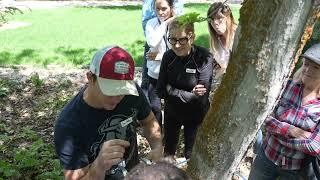 Maple Syrup Research: Jesse Mathews