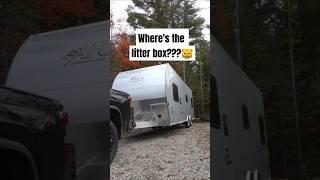 DIY cat litter box storage in toy hauler #rvtips #rvcats #fulltimerv