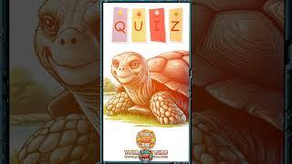 Eternal Guardians: The Role of Turtles in Ecosystem Health #EcosystemRole, #YourPetzTube
